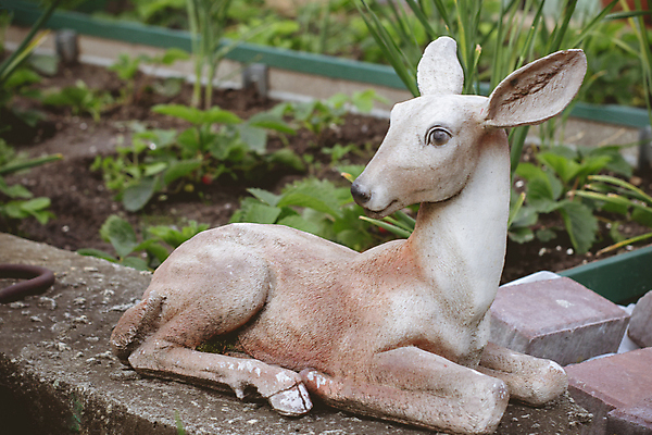 포토 JPG 해외이미지 동물 디자인 조각 백그라운드 크리스마스 겨울 자연 선물 미술 사람없음 장식 장난감 조각상 숫자 갈색 피규어 수확 흰색 아기 도자기 황금 작음 12월 오브젝트 복고 기념품 토기 목각 내추럴 고립 백자 소련 소비에트 순록 아기사슴 엘크 해외포토 문자 계절 기념일 새끼 컬러 농업 문화예술 사슴 사람 조형물 미니어처 용기_그릇 날짜 크기 생태계 파일형식 이미지허브