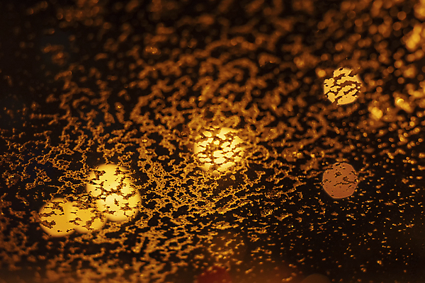 포토 JPG 해외이미지 디자인 계절 야생동물 여행 백그라운드 겨울 자동차 자연 유리 하늘 날씨 자물쇠 광고판 사람없음 옆모습 파란색 컬러풀 냉동 얼음 검은색 공백 추위 흰색 운전사 시원함 12월 사건 서리 폭풍 북쪽 문제 층 눈보라 자동 충고 폭설 눈내림 해외포토 자연요소 동물 직업 육상교통 뷰포인트 컬러 재질 알림판 눈_날씨 날짜 자연재해 방향 생태계 판 파일형식 이미지허브