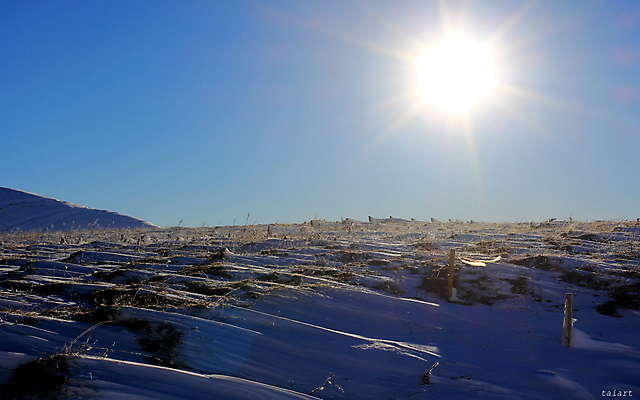 포토 JPG 해외이미지 식물 계절 여행 백그라운드 겨울 자연 벽지 하늘 산 파노라마 사람없음 야외 파란색 빛 컬러풀 햇빛 환경 계곡 트래킹 하이킹 언덕 즐거움 빙하 웅장함 절정 조지아 해외포토 감정 컬러 레저 촬영기법 태양 생태계 동유럽 파일형식 이미지허브