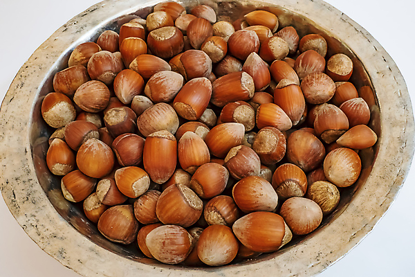 포토 JPG 해외이미지 그릇 재료 실내 사람없음 흰배경 개암나무 헤이즐넛 개암 해외포토 나무 식기 열매 백그라운드 내부 견과류 흰색 파일형식 이미지허브