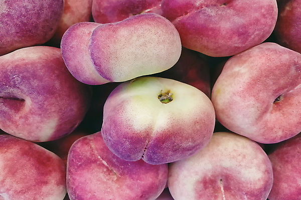 포토 JPG 해외이미지 라이프스타일 음식 백그라운드 패턴 농업 다이어트 오렌지 과일 재료 자연 벽지 디저트 건강 사람없음 빨간색 농장 노란색 쌓기 우주 정원 샐러드 흰색 신선 그룹 달콤 정상 상쾌 유기농 질감 레이아웃 날것 추수감사절 숙성 스무디 이국적 채식주의자 천도복숭아 많음 비건 미니멀 해외포토 웰빙 감정 산업 기독교 음료 컬러 컨셉 무늬 모션 생활 맛 생태계 채식 복숭아 파일형식 이미지허브