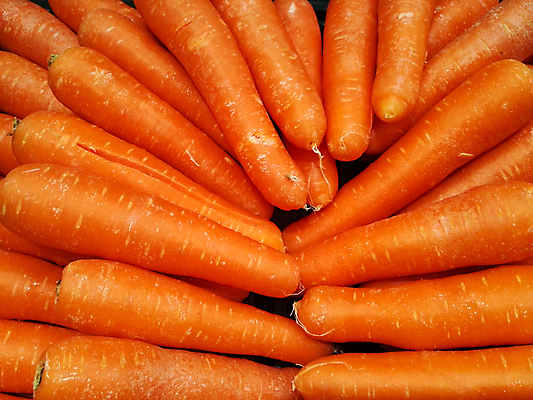 포토 JPG 해외이미지 식물 음식 백그라운드 잎 농업 다이어트 채소 오렌지 과일 재료 자연 탁자 건강 사람없음 빨간색 초록색 농작물 농장 주방 정원 식사 당근 수확 신선 맛 다발 배열 먹기 오브젝트 유기농 원예 레이아웃 날것 뿌리 내추럴 숙성 채식주의자 해외포토 웰빙 산업 컬러 가구 컨셉 모션 뿌리채소 취미 생태계 채식 파일형식 이미지허브