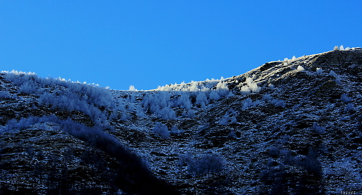 포토 JPG 해외이미지 식물 구름 계절 여행 백그라운드 겨울 자연 벽지 하늘 산 파노라마 풍경 사람없음 야외 파란색 빛 컬러풀 햇빛 환경 계곡 트래킹 하이킹 가을 언덕 즐거움 빙하 웅장함 절정 조지아 해외포토 자연요소 감정 컬러 레저 촬영기법 태양 생태계 동유럽 파일형식 이미지허브