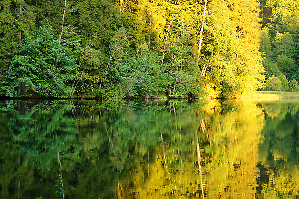 포토 JPG 해외이미지 나무 계절 공원 유럽 호수 야생동물 여행 백그라운드 자연 하늘 파노라마 사람없음 야외 초록색 물 파란색 컬러풀 뷰티 반사 환경 봄 숲 내추럴 조지아 해외포토 자연요소 식물 동물 공공시설 나라 컬러 촬영기법 생태계 동유럽 파일형식 이미지허브