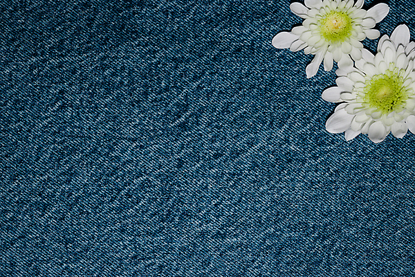 포토 JPG 해외이미지 디자인 옷 꽃 꽃다발 백그라운드 컨셉 꽃무늬 바지 자연 표면 사람없음 파란색 노란색 유행 봄 흰색 청바지 직물 면 거친 주머니 묘사 질감 섬유 내추럴 짜기 히피 스타일 해외포토 식물 계절 컬러 무늬 모션 하의 생태계 파일형식 이미지허브