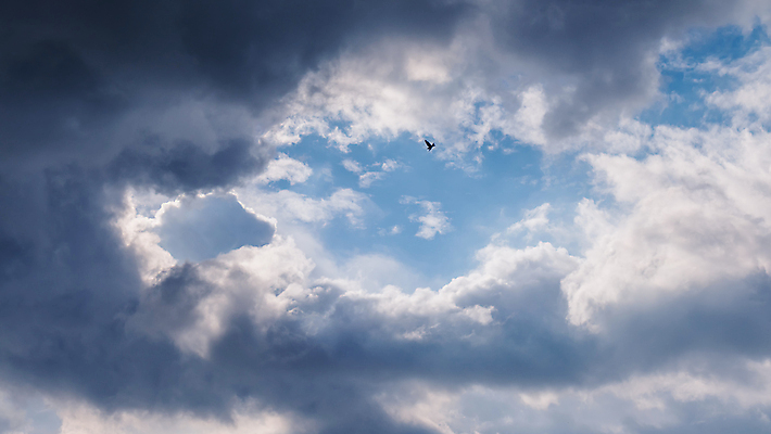 포토 JPG 해외이미지 동물 여행 백그라운드 패턴 자연 조류 하늘 날씨 거리 사람없음 야외 파란색 빛 햇빛 태양 뷰티 맑음 검은색 어둠 회색 자유 흰색 비행 도시 분위기 수증기 천국 내추럴 무료 뿌연 해외포토 자연요소 컬러 컨셉 무늬 생태계 파일형식 이미지허브