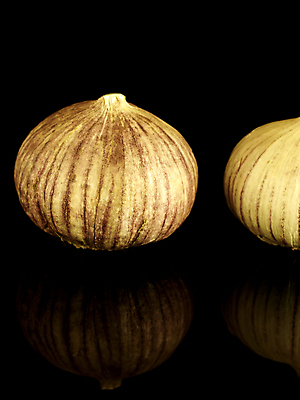 포토 JPG 해외이미지 음식 농업 채소 재료 건강 마늘 요리 사람없음 빨간색 약 세일 뜨거움 시장 맛 상품 향신료 매움 날것 냄새 악취 제의 해외포토 산업 컬러 컨셉 의학 향미료 파일형식 이미지허브