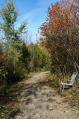 포토 JPG 해외이미지 나무 계절 공원 백그라운드 잎 오렌지 자연 풍경 사람없음 야외 목재 빨간색 초록색 컬러풀 뷰티 노란색 환경 가을 황금 숲 10월 내추럴 해외포토 식물 공공시설 컬러 과일 재료 날짜 생태계 파일형식 이미지허브
