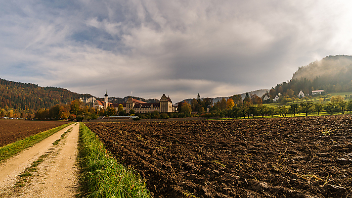 포토 JPG 해외이미지 나무 식물 계절 공원 여행 잎 밭 오렌지 자연 산 국립공원 풍경 사람없음 컬러풀 노란색 마을 환경 하이킹 가을 나뭇가지 시골 황금 숲 오솔길 오르기 천국 10월 다뉴브강 방법 해외포토 공공시설 길 컬러 농업 과일 모션 레저 날짜 생태계 파일형식 이미지허브