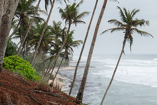 포토 JPG 해외이미지 모래 파도 바다 섬 여행 자연 하늘 휴가 휴식 손바닥 사람없음 물 파란색 야자수 평화 맑음 고요 정상 그림 암초 스리랑카 파라다이스 해외포토 자연요소 나무 손 아시아 컬러 컨셉 날씨 생태계 파일형식 이미지허브