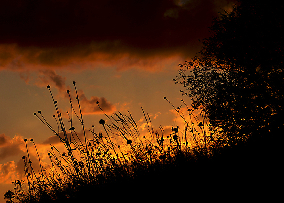 포토 JPG 해외이미지 식물 계절 여행 백그라운드 자연 벽지 하늘 산 파노라마 사람없음 야외 파란색 빛 컬러풀 햇빛 환경 계곡 트래킹 하이킹 언덕 즐거움 웅장함 절정 조지아 해외포토 감정 컬러 레저 촬영기법 태양 생태계 동유럽 파일형식 이미지허브