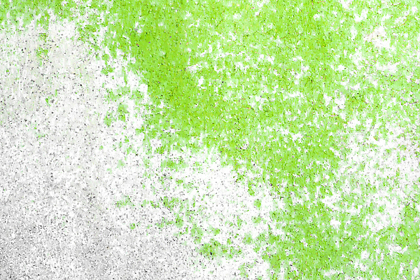 포토 JPG 해외이미지 디자인 꽃 벽 액자 백그라운드 잎 패턴 벤치 비즈니스 건축양식 자연 탁자 표면 추상 바닥 사람없음 내부 목재 장식 초록색 빛 뷰티 우주 금속 공백 손상 방 회색 수확 흰색 업무 닫기 정상 책상 질감 부드러움 옛날 콘크리트 해외포토 나무 식물 건축 컬러 가구 컨셉 무늬 농업 의자 재료 모션 재질 작업 감각 생태계 파일형식 이미지허브