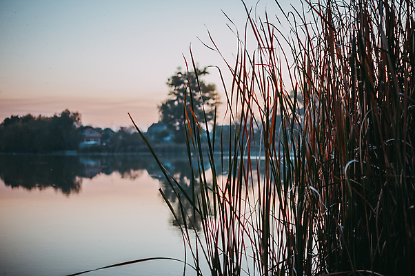 포토 JPG 해외이미지 나무 유럽 호수 사람없음 맑음 해외포토 식물 나라 날씨 파일형식 이미지허브