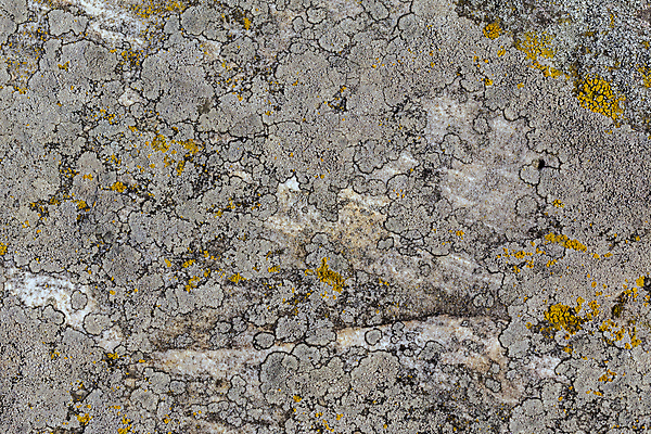 포토 JPG 해외이미지 백그라운드 이끼 사람없음 회색 돌_바위 질감 해외포토 컬러 파일형식 이미지허브