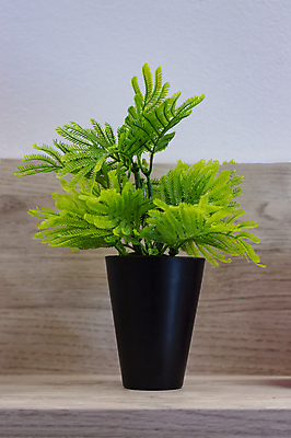 포토 JPG 해외이미지 식물 전통 디자인 꽃 백그라운드 컨셉 오렌지 비즈니스 유리 탁자 주택 프레임 건강 사람없음 목재 장식 빨간색 초록색 물 컴퓨터 갈색 노란색 꽃병 검은색 중국 흰색 신선 투명 액체 아침식사 냄비 컵받침 오브젝트 내추럴 고립 해외포토 자연요소 나무 아시아 컬러 가구 과일 재료 재질 건물 전자제품 식사 솥 받침대 파일형식 이미지허브