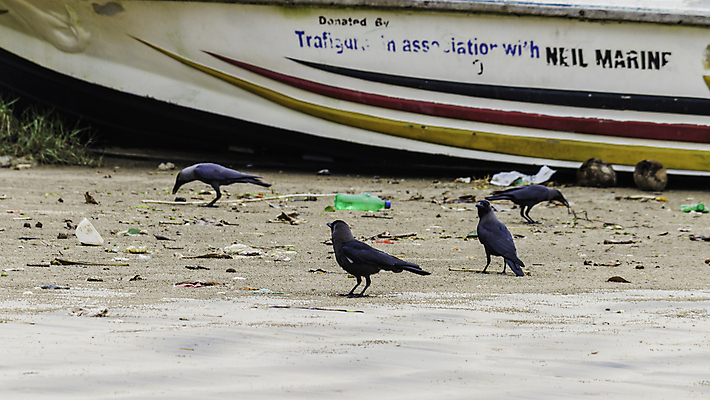 포토 JPG 해외이미지 산업 아시아 모래 바다 가방 비즈니스 자연 풍경 사람없음 여행객 환경 수중 재활용 손상 긴급 환경오염 지저분함 보호 쓰레기 폐기물 플라스틱 버리기 문제 낭비 내추럴 생태학 재앙 폐수 화학물질 해외포토 잡화 교육 나라 컨셉 모션 재질 사람 감각 화학 친환경 생태계 파일형식 이미지허브