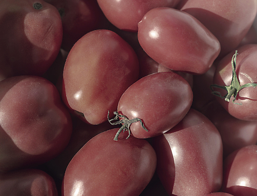 포토 JPG 해외이미지 잡화 음식 백그라운드 농업 다이어트 토마토 채소 재료 쟁반 건강 식이요법 요리 사람없음 가로 쇼핑 세일 수확 신선 시장 농부 상품 균형 친환경 유기농 날것 제비 건강식 슈퍼마켓 내추럴 숙성 채식주의자 해외포토 직업 웰빙 산업 조류 환경 상점 채식 파일형식 이미지허브
