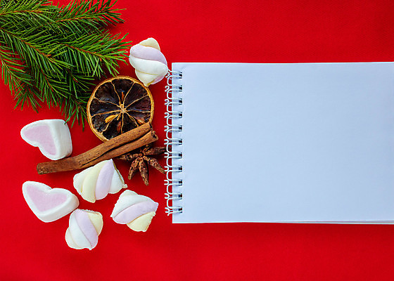 포토 JPG 해외이미지 나무 식물 디자인 배너 계절 종이 백그라운드 컨셉 크리스마스 겨울 휴가 새해 선물 미술 사람없음 장식 빨간색 초록색 크리스마스트리 펜 우주 축제 공책 공백 수확 흰색 나뭇가지 축하 인사 소나무 신용카드 12월 편지 전나무 구성 노엘 목업 가문비나무 크리스마스배경 해외포토 기념일 컬러 농업 문화예술 문구용품 금융 필기구 예절 날짜 파일형식 이미지허브