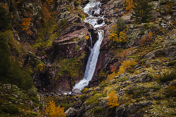 포토 JPG 해외이미지 나무 식물 겨울 자연 산 이끼 사람없음 물 강 뷰티 봄 폭포 하이킹 추위 신선 소나무 개울 스페인 숲 전나무 아라곤 리빙 동물상 해외포토 자연요소 계절 유럽 레저 조형물 생태계 파일형식 이미지허브