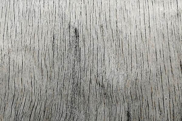 포토 JPG 해외이미지 나무 외관 선 벽 백그라운드 패턴 건축양식 표면 날씨 추상 사람없음 목재 갈색 검은색 어둠 줄무늬 회색 수확 골동품 시골 죽음 판넬 거친 널 큼 책상 묘사 질감 매듭 잡동사니 다리찢기 내추럴 그런지 수목 옛날 합판 스타일 해외포토 식물 건축 컬러 가구 무늬 농업 재료 모션 크기 파일형식 이미지허브