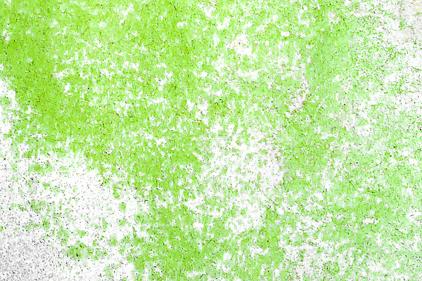 포토 JPG 해외이미지 디자인 외관 벽 백그라운드 패턴 표면 날씨 추상 주택 건조 사람없음 목재 초록색 파란색 빛 문 페인트 손상 회색 수확 골동품 판넬 거친 수리 닫기 널 책상 질감 복고 내추럴 구식 그런지 석고 엘리먼트 옛날 해외포토 나무 컬러 가구 컨셉 무늬 농업 재료 모션 건물 파일형식 이미지허브