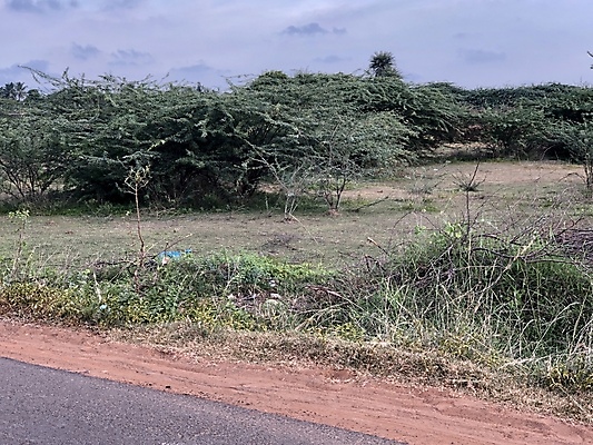 포토 JPG 해외이미지 나무 구름 도로 길 모래 여행 밭 자연 하늘 산 풍경 사람없음 야외 초록색 여름 파란색 사막 시골 숲 먼지 방법 해외포토 자연요소 식물 계절 컬러 농업 교통시설 생태계 파일형식 이미지허브