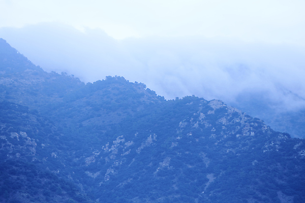 포토 JPG 해외이미지 나무 구름 공원 여행 겨울 자연 하늘 날씨 산 풍경 사람없음 야외 햇빛 일출 놀람 안개 시골 정상 저녁 숲 불기 땅 언덕 그림 북쪽 발견 내추럴 뿌연 옛날 절정 특별함 해외포토 자연요소 식물 계절 공공시설 감정 컨셉 모션 표정 태양 노을 야간 방향 생태계 파일형식 이미지허브