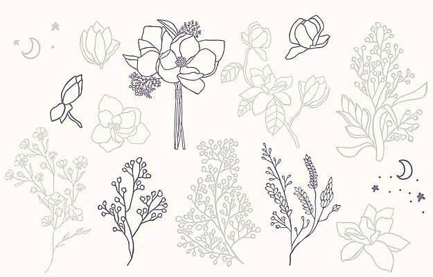 EPS 해외이미지 식물 꽃 별 줄기 꽃다발 잎 라인일러스트 일러스트 사람없음 세트 달 라인아트 해외일러스트 자연요소 선 파일형식 벡터 이미지허브