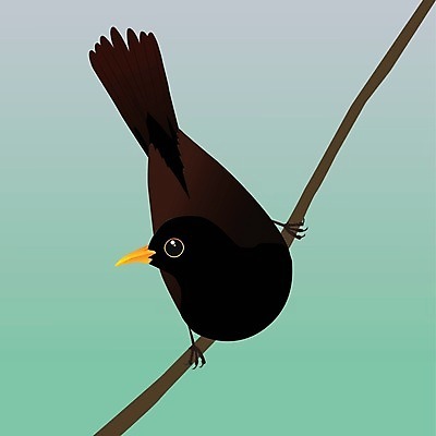 EPS 해외이미지 나무 동물 디자인 야생동물 백그라운드 일러스트 자연 조류 미술 앉기 그래픽 검은색 흰색 나뭇가지 작음 만화 심볼 깃털 그림 부리 고립 엘리먼트 해외일러스트 식물 컬러 모션 문화예술 크기 생태계 파일형식 벡터 이미지허브