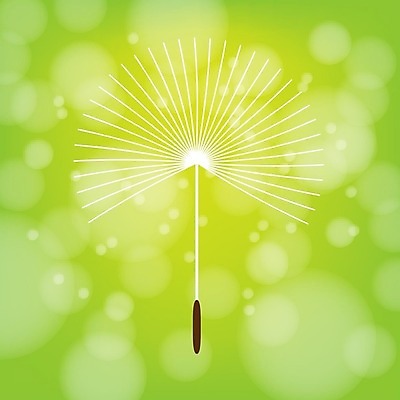 EPS 해외이미지 식물 디자인 배너 꽃 실루엣 음악 백그라운드 잎 꽃무늬 패턴 일러스트 회사 비즈니스 자연 바람 추상 사랑 미술 씨앗 그래픽 장식 여름 컴퓨터 라벨 스파 봄 수확 벚꽃 흰색 고급 우아함 민들레 꽃집 심볼 보케 부드러움 생태학 엘리먼트 프리미엄 활자 해외일러스트 자연요소 계절 교육 감정 컬러 컨셉 무늬 농업 날씨 문화예술 프레임 촬영기법 전자제품 상점 감각 생태계 활자판 파일형식 벡터 이미지허브