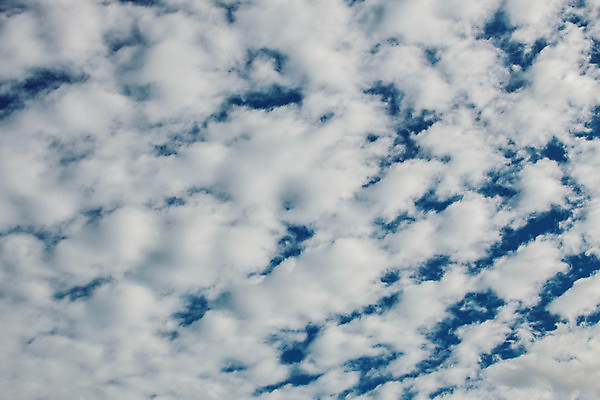 포토 JPG 해외이미지 주간 계절 백그라운드 패턴 자연 벽지 하늘 날씨 추상 사람없음 야외 파란색 빛 뷰티 맑음 봄 흰색 분위기 저녁 큼 질감 천국 솜털 내추럴 카피스페이스 해외포토 자연요소 컬러 컨셉 무늬 공백 야간 크기 생태계 파일형식 이미지허브