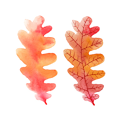 JPG 해외이미지 식물 단풍 일러스트 붓터치 사람없음 번짐 해외일러스트 잎 파일형식 효과 이미지허브