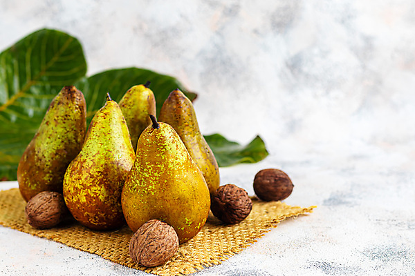 포토 JPG 해외이미지 식물 종이 음식 빵 컨셉 다이어트 과일 비즈니스 재료 유리 선반 관리 씨앗 사람없음 샐러드 흐름 견과류 신선 보호 질병 낟알 컨테이너 시리얼 철 서비스 유기농 감염 땅콩 호두 깨 토핑 아몬드 단백질 아마 오메가 위생관리 헤이즐넛 해외포토 웰빙 꽃 산업 가구 식재료 의학 재질 건강 조미료 영양소 파일형식 이미지허브