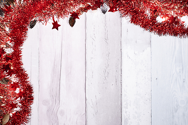 포토 JPG 해외이미지 나무 디자인 계절 백그라운드 크리스마스 겨울 공 휴가 새로움 프레임 사람없음 장식 빨간색 축제 화환 흰색 나뭇가지 축하 인사 소나무 신용카드 연도 전나무 고립 가문비나무 카피스페이스 해외포토 식물 기념일 꽃 컬러 컨셉 금융 공백 예절 파일형식 이미지허브