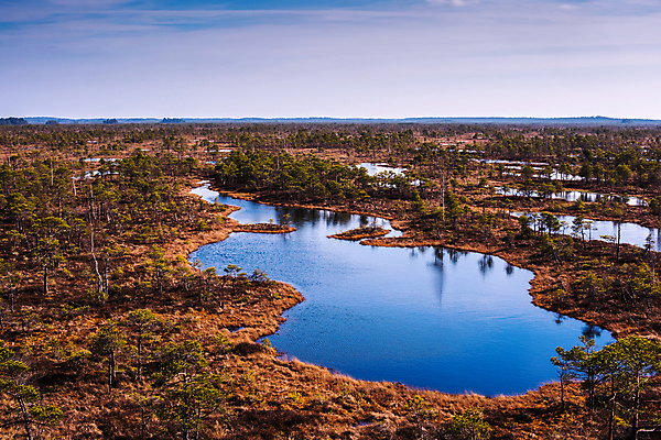 포토 JPG 해외이미지 나무 식물 계절 공원 유럽 도로 길 호수 여행 백그라운드 자국 자연 하늘 사람없음 야외 목재 물 반사 환경 정원 연못 소나무 습지 숲 북쪽 탐사 라트비아 리가 방법 변소 전국 해외포토 자연요소 공공시설 나라 재료 교통시설 북유럽 방향 생태계 파일형식 이미지허브