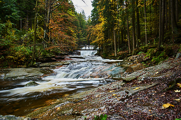 포토 JPG 해외이미지 유럽 여행 잎 휴가 국립공원 사람없음 강 컬러풀 걷기 폭포 하이킹 탐험 장노출 체코 전나무 해외포토 나무 식물 공원 나라 컬러 모션 자연 레저 촬영기법 파일형식 이미지허브