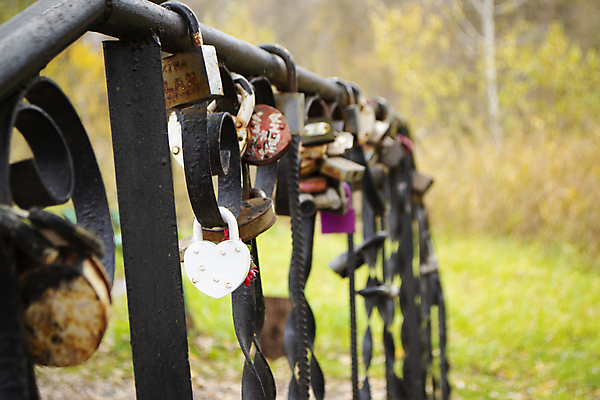 포토 JPG 해외이미지 모양 전통 커플 행복 문화 결혼 백그라운드 컨셉 열쇠 자물쇠 발렌타인데이 매달리기 사랑 안전 사람없음 야외 빨간색 울타리 강 교회 금속 우정 하트 그룹 보호 접속 철 심볼 사인 부식 잠금 보안 열쇠구멍 약혼 영원 옛날 철강 철책 통일 해외포토 감정 컬러 관계 종교건축 모션 데이이벤트 재질 이벤트 건물 친구 담장 약속 파일형식 이미지허브