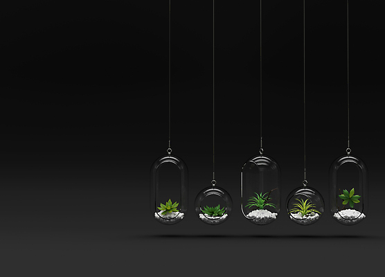 포토 JPG 해외이미지 나무 식물 디자인 공원 화초 백그라운드 컨셉 자연 유리 벽지 선인장 주택 실내 매달리기 그림자 미술 취미 사람없음 장식 초록색 3D 우주 환경 정원 검은색 성장 신선 투명 야간 작음 오브젝트 유기농 만들기 DIY 내추럴 구성 미니 생태학 미니멀 해외포토 자연요소 웰빙 공공시설 교육 컬러 모션 재질 문화예술 내부 건물 크기 디지털합성 생태계 파일형식 이미지허브