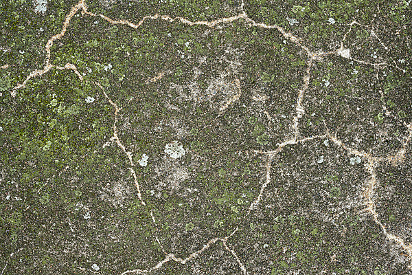 포토 JPG 해외이미지 벽 백그라운드 사람없음 균열 질감 시멘트 시멘트벽 해외포토 모션 파일형식 이미지허브