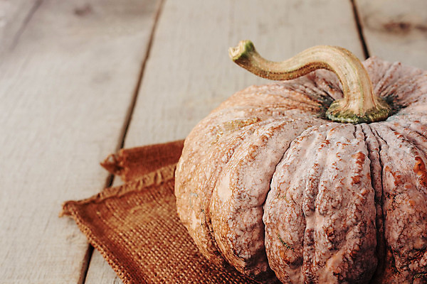 포토 JPG 해외이미지 식물 계절 음식 백그라운드 밭 농업 채소 오렌지 과일 자연 탁자 호박 휴가 주택 건강 요리 사람없음 목재 장식 농작물 농장 주방 축제 어둠 침묵 할로윈 수확 신선 11월 삼베 심볼 복고 자루 추수감사절 10월 내추럴 그런지 숙성 옛날 정물화 채식주의자 해외포토 나무 산업 기독교 가구 재료 건물 소리 날짜 그림 생태계 채식 파일형식 천_직물 이미지허브