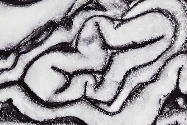 포토 JPG 해외이미지 스튜디오촬영 식물 라이프스타일 길 음식 파도 백그라운드 십자가 패턴 농업 곡선 다이어트 채소 재료 자연 표면 추상 건강 사람없음 빛 농작물 컬러풀 흰색 신선 원형 양념 맛 자르기 먹기 유기농 생물학 양배추 날것 향료 고립 생식 숙성 식용 정물화 해외포토 도형 웰빙 교육 산업 선 바다 컬러 컨셉 무늬 모션 실내 생활 그림 생태계 향기 냄새 파일형식 이미지허브