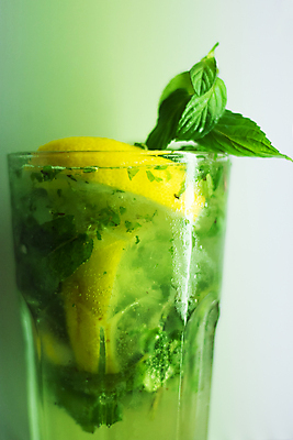 포토 JPG 해외이미지 주류 사람없음 식당 얼음 알코올 칵테일 시원함 레몬 민트 라임 모히토 보드카 초록배경 해외포토 자연요소 음료 백그라운드 과일 초록색 상점 허브 파일형식 이미지허브