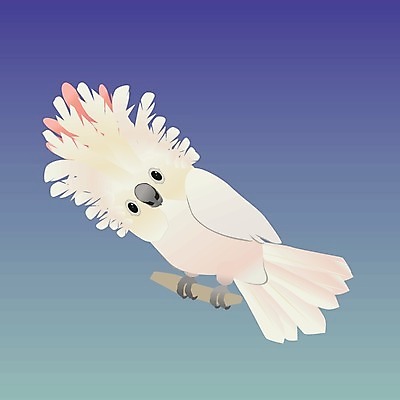 EPS 해외이미지 캐릭터 디자인 응시 행복 야생동물 날개 일러스트 자연 조류 동물원 반려동물 노란색 흰색 만화 호루라기 스마트 깃털 그림 부리 앵무새 코믹 이국적 잉꼬 지능 해외일러스트 일러캐릭터 동물 시선 감정 컬러 컨셉 생태계 파일형식 벡터 이미지허브