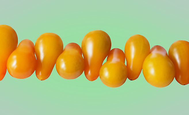 포토 JPG 해외이미지 스튜디오촬영 모양 라이프스타일 계절 음식 백그라운드 농업 다이어트 토마토 채소 재료 건강 요리 사람없음 노란색 식사 신선 그룹 맛 지중해 먹기 유기농 날것 내추럴 바이오 숙성 많음 카피스페이스 세련 해외포토 웰빙 산업 바다 컬러 컨셉 모션 실내 생활 공백 파일형식 이미지허브