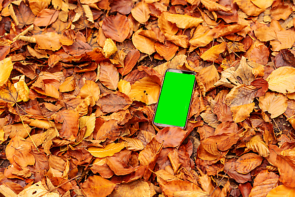 포토 JPG 해외이미지 식물 라이프스타일 디자인 공원 백그라운드 컨셉 잎 인터넷 비즈니스 통신 자연 탁자 모바일 세포 직장 사람 사람없음 야외 목재 초록색 스마트폰 핸드폰 컴퓨터 알약 노란색 디지털 스크린 공백 메시지 연결 무선전화기 스마트 온라인 내추럴 소셜 목업 카피스페이스 해외포토 나무 공공시설 컬러 가구 회사 재료 생활 전자제품 스마트기기 약 전화기 생태계 파일형식 이미지허브