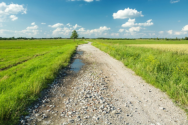 포토 JPG 해외이미지 나무 도로 길 여행 백그라운드 밭 자연 하늘 사람없음 야외 초록색 물 파란색 환경 조약돌 시골 웅덩이 먼지 땅바닥 방법 비포장도로 직진 수평선 해외포토 자연요소 식물 컬러 농업 교통시설 바닥 돌_바위 생태계 파일형식 이미지허브