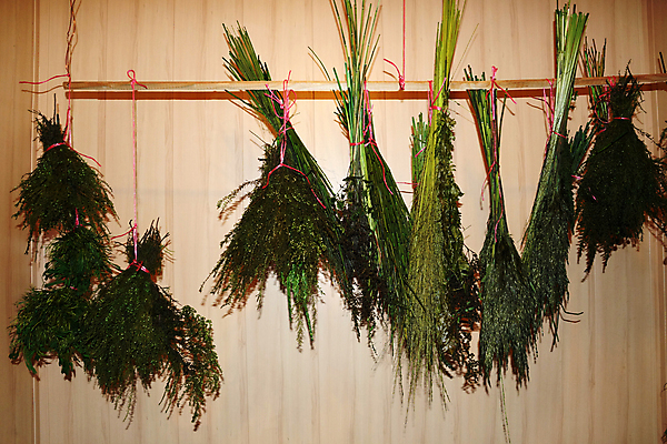 포토 JPG 해외이미지 식물 꽃 밧줄 음식 벽 꽃다발 백그라운드 컨셉 잎 재료 자연 건조 매달리기 건강 사람없음 목재 장식 초록색 약 주방 정원 수확 신선 약초 다발 약국 민트 허브 향신료 유기농 향 백리향 해외포토 나무 웰빙 줄 컬러 농업 의학 모션 풀_식물 생태계 향미료 파일형식 이미지허브