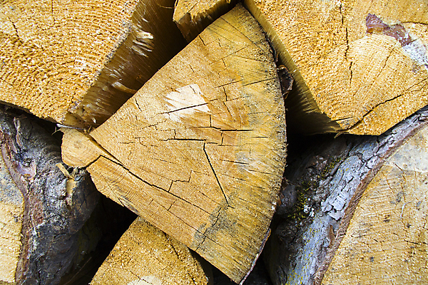 포토 JPG 해외이미지 나무 산업 백그라운드 겨울 패턴 불 사람없음 야외 목재 쌓기 재활용 시간 소나무 뜨거움 원형 주식 숲 낟알 장작 자르기 연도 묘사 벽난로 질감 날것 통나무 뿌리 나무껍질 연료 수납 자원 내추럴 수목 옛날 화상 개조 해외포토 자연요소 도형 식물 계절 무늬 재료 모션 금융 껍질 상처 친환경 파일형식 이미지허브