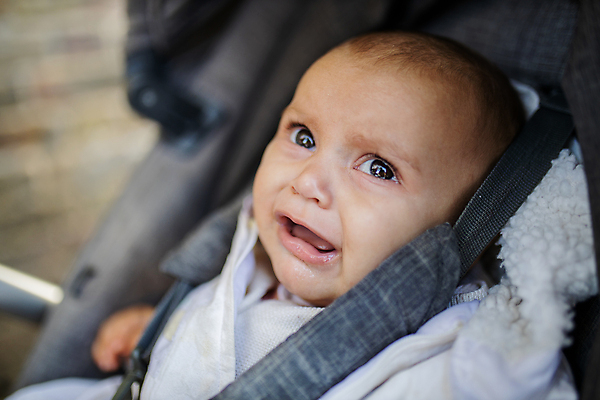 포토 JPG 해외이미지 나무 계절 공원 백그라운드 잎 오렌지 일러스트 자연 하늘 잉글랜드 거리 돌담 한명 앉기 야외 초록색 빛 햇빛 태양 뷰티 노란색 정원 외침 흰색 나뭇가지 아기 울음 숲 11월 런던 유모차 10월 해외포토 자연요소 식물 1 공공시설 컬러 과일 모션 영국 표정 사람 담장 소리 아기용품 돌_바위 날짜 생태계 파일형식 이미지허브