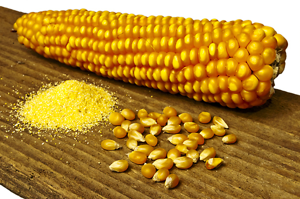 포토 JPG 해외이미지 음식 백그라운드 농업 재료 자연 건조 건강 옥수수 요리 씨앗 사람없음 목재 농작물 갈색 노란색 주방 식사 이탈리아 빵집 수확 시골 황금 낟알 시리얼 밀 굽기 유기농 밀가루 결 내추럴 팝 해외포토 나무 식물 웰빙 유럽 산업 컬러 무늬 곡류 상점 가루 구이 생태계 파일형식 이미지허브